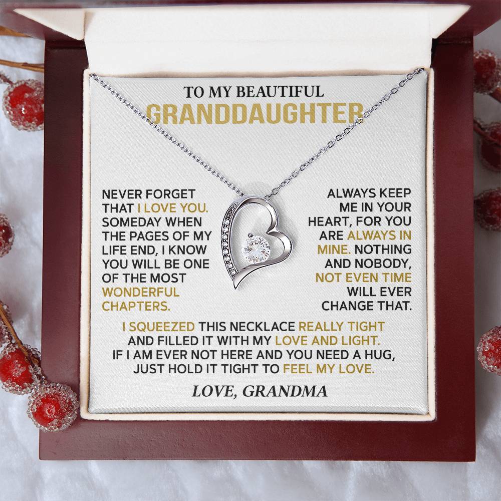 To My Granddaughter — A Hug from Grandma Forever Love Necklace