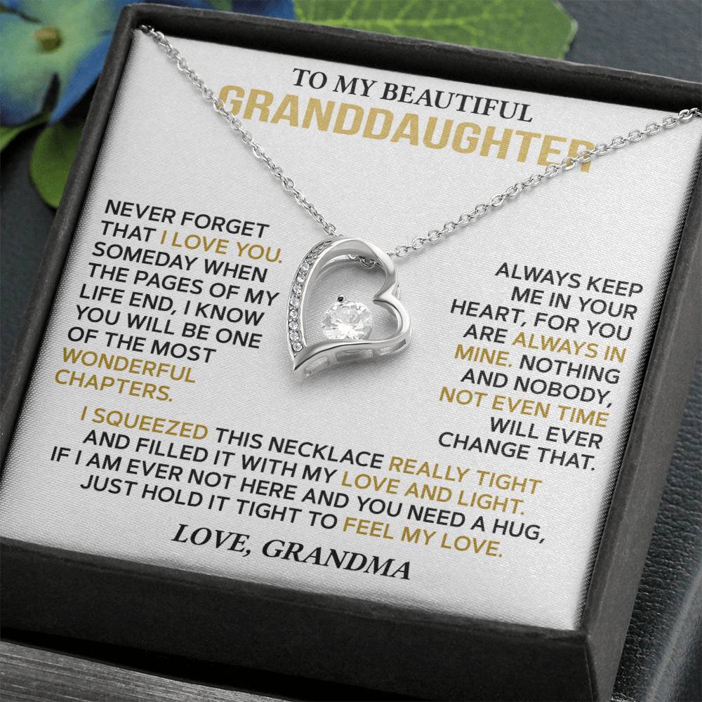 To My Granddaughter — A Hug from Grandma Forever Love Necklace