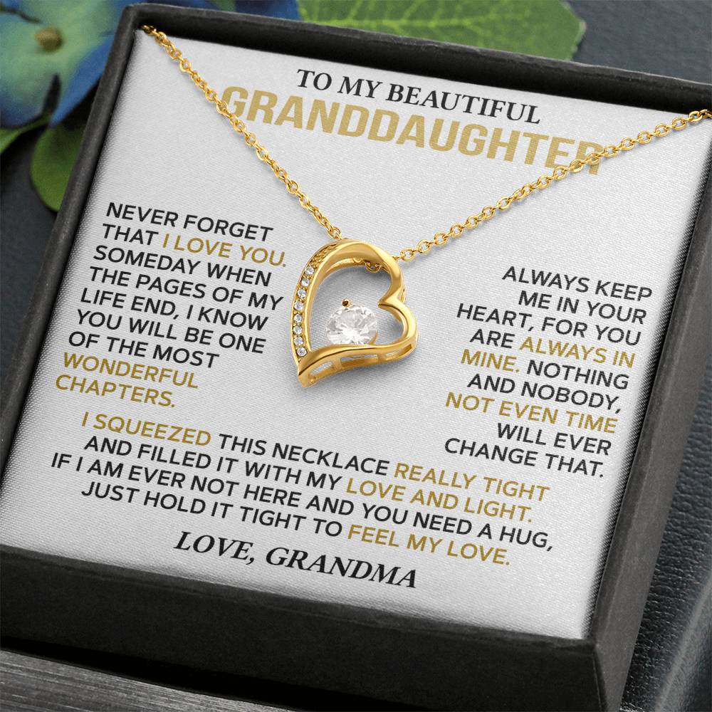 To My Granddaughter — A Hug from Grandma Forever Love Necklace